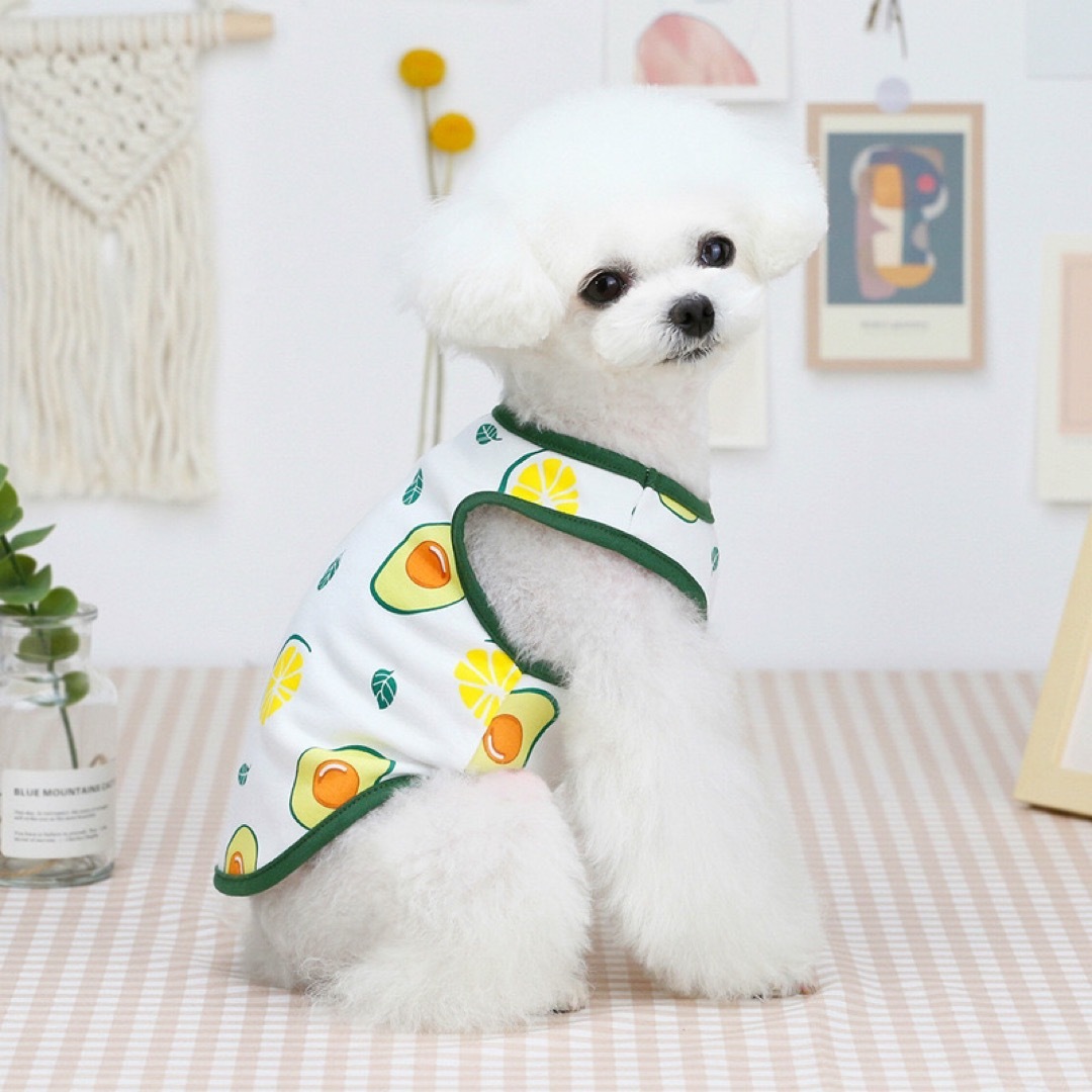 新品 XS フルーツ ベスト （アボカド） 犬服 猫服 犬の服 タンクトップ その他のペット用品(犬)の商品写真
