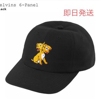 Supreme x Melvins 6-Panel(キャップ)