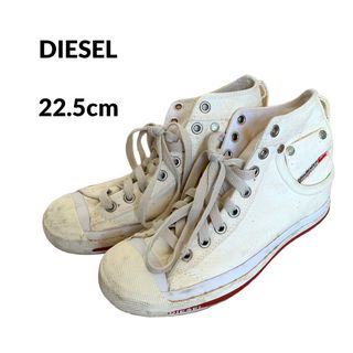 DIESEL - DIESEL ディーゼル ハイカット スニーカーキャンパス地 22.5cm