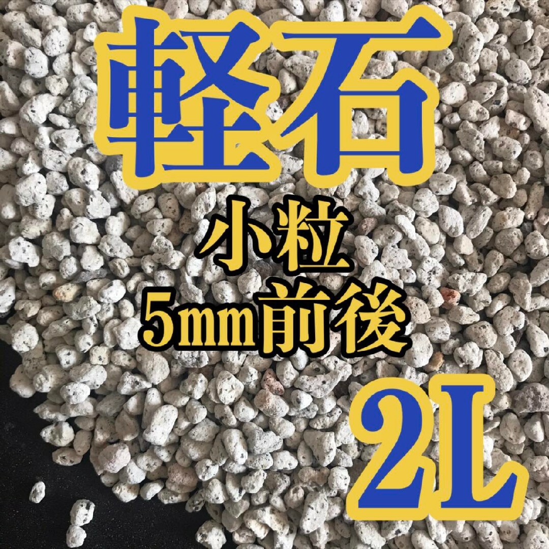 軽石 小粒 2L 多肉植物 サボテン 観葉植物土 魂根植物 ハンドメイドのフラワー/ガーデン(その他)の商品写真