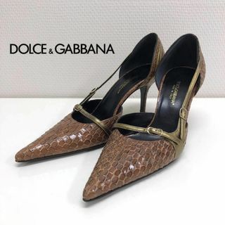 DOLCE&GABBANA - DOLCE&GABBANA  パイソン パンプス　ハイヒール