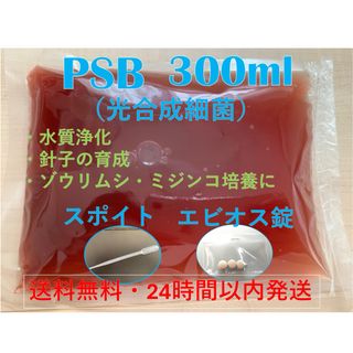 PSB（光合成細菌）300ml エビオス錠・スポイト付き(アクアリウム)