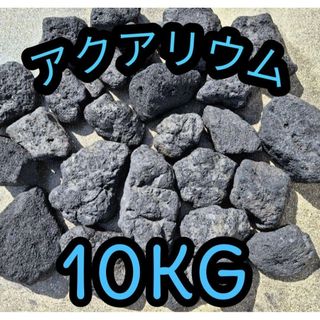 アクアリウム 水槽 溶岩石 10キロ 国産 メダカ 熱帯魚 浄化(アクアリウム)