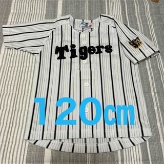 阪神タイガース　白ユニフォーム　シャープ産業　キッズ　120㎝(応援グッズ)