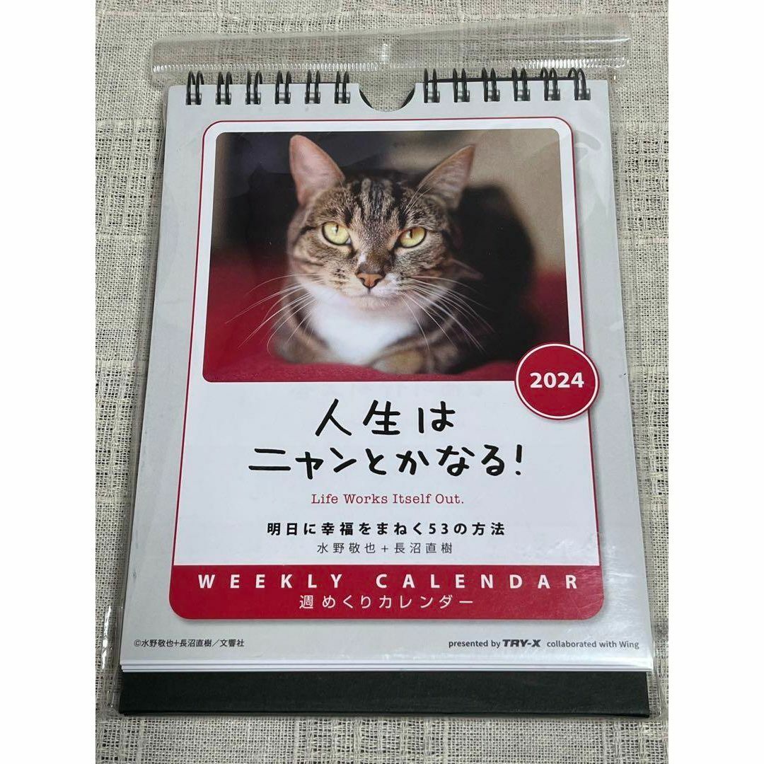 人生はニャンとかなる！ カレンダー 2024年 猫カレンダー　 壁掛け卓上兼用 インテリア/住まい/日用品の文房具(カレンダー/スケジュール)の商品写真