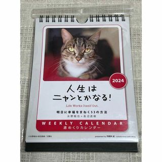 人生はニャンとかなる！ カレンダー 2024年 猫カレンダー　 壁掛け卓上兼用(カレンダー/スケジュール)