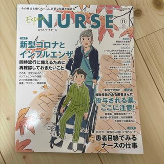 Expert Nurse (エキスパートナース) 2022年 11月号 [雑誌](専門誌)