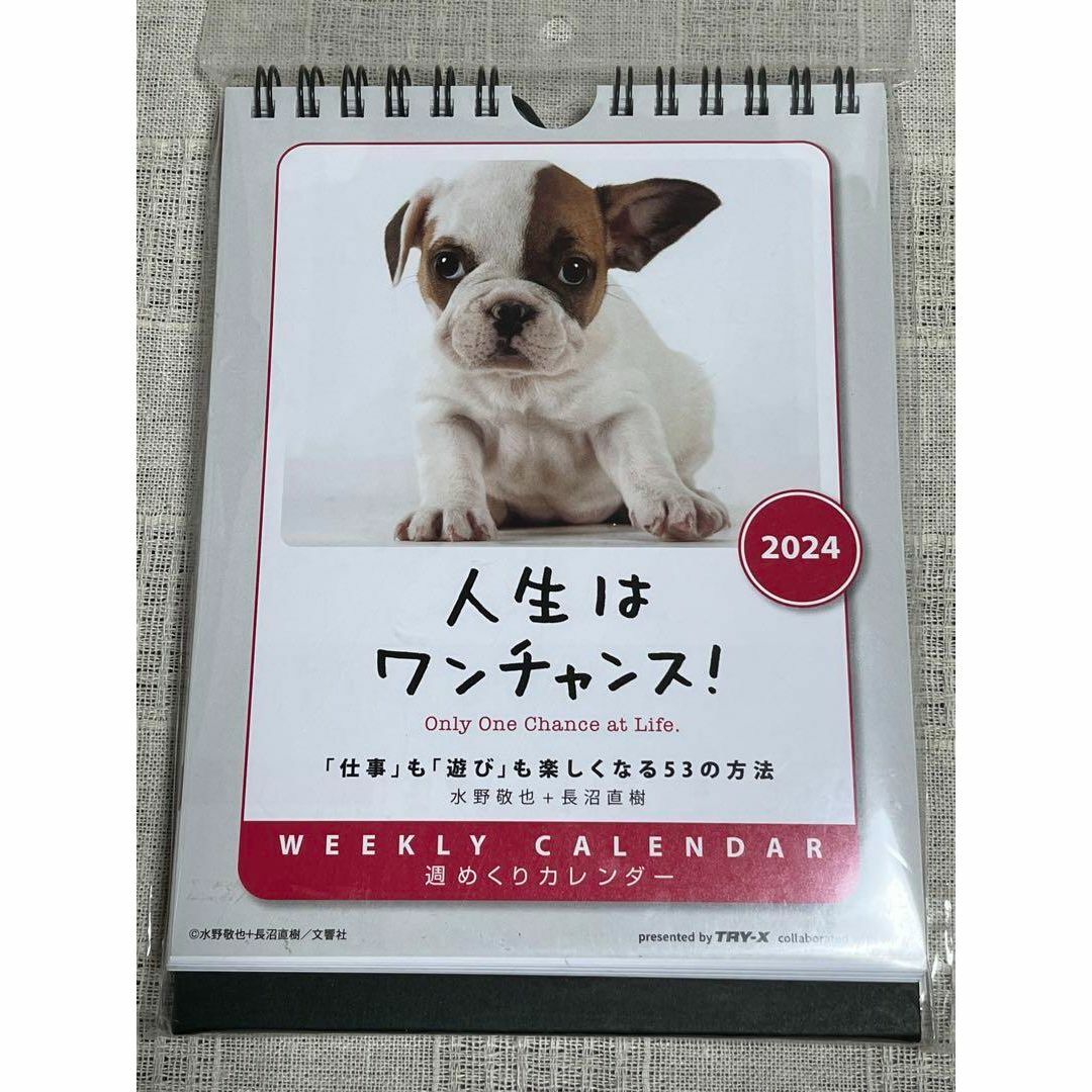 人生はワンチャンス！ カレンダー 2024年 犬　カレンダー　壁掛け卓上兼用  インテリア/住まい/日用品の文房具(カレンダー/スケジュール)の商品写真