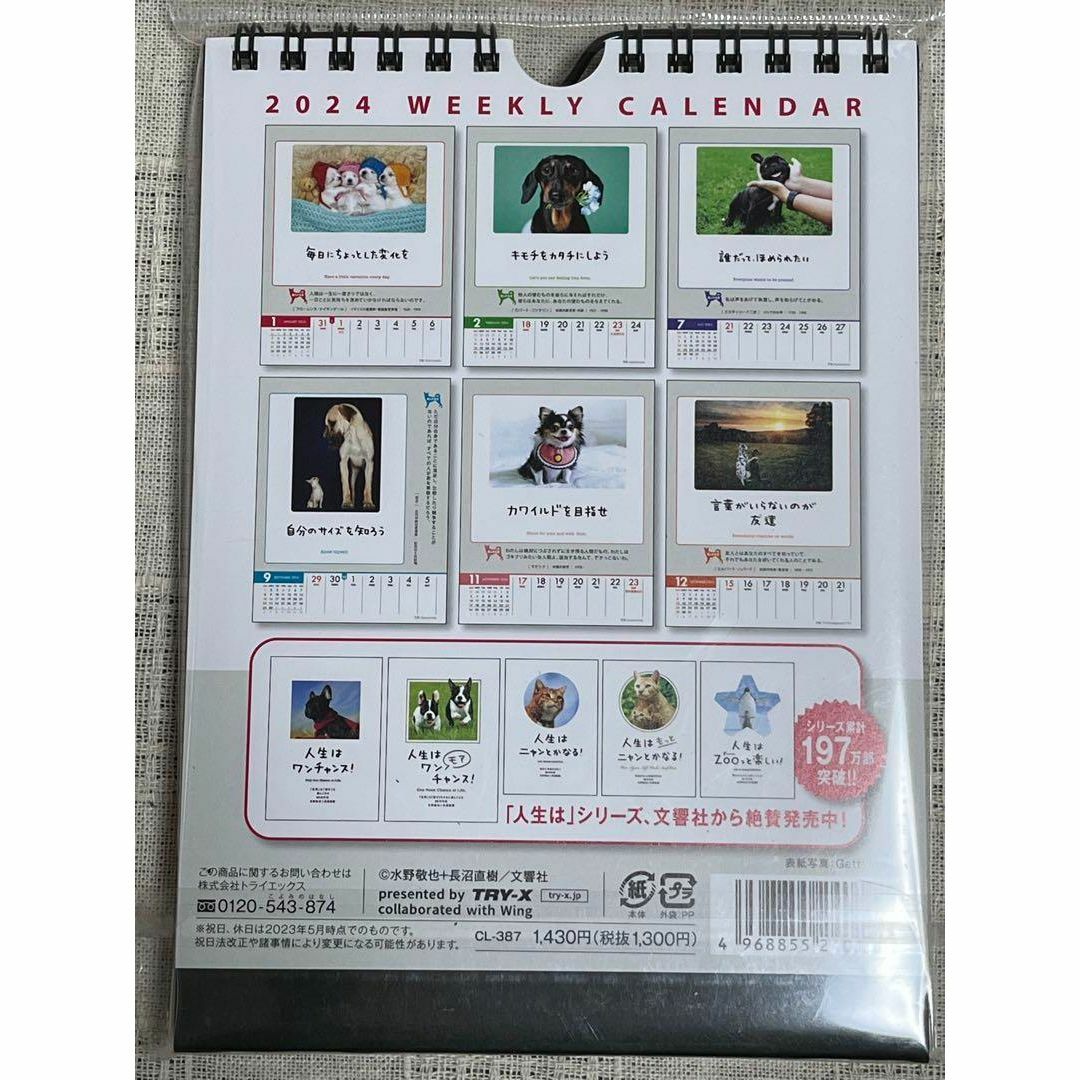 人生はワンチャンス！ カレンダー 2024年 犬　カレンダー　壁掛け卓上兼用  インテリア/住まい/日用品の文房具(カレンダー/スケジュール)の商品写真
