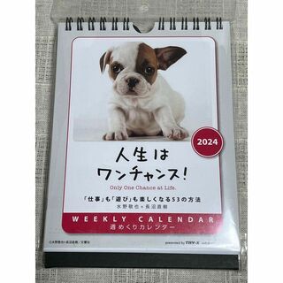 人生はワンチャンス！ カレンダー 2024年 犬　カレンダー　壁掛け卓上兼用 (カレンダー/スケジュール)