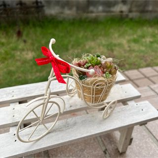 ★速達付き！★♡そのまま飾れる♡ミニサイクルの可愛い多肉植物寄せ植え♡(その他)