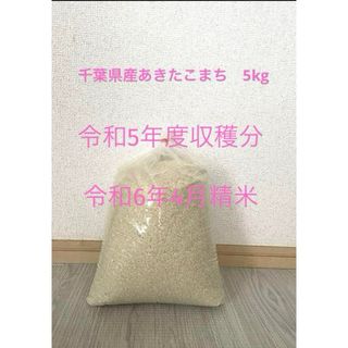 千葉県産あきたこまち　5kg 精米済み(米/穀物)