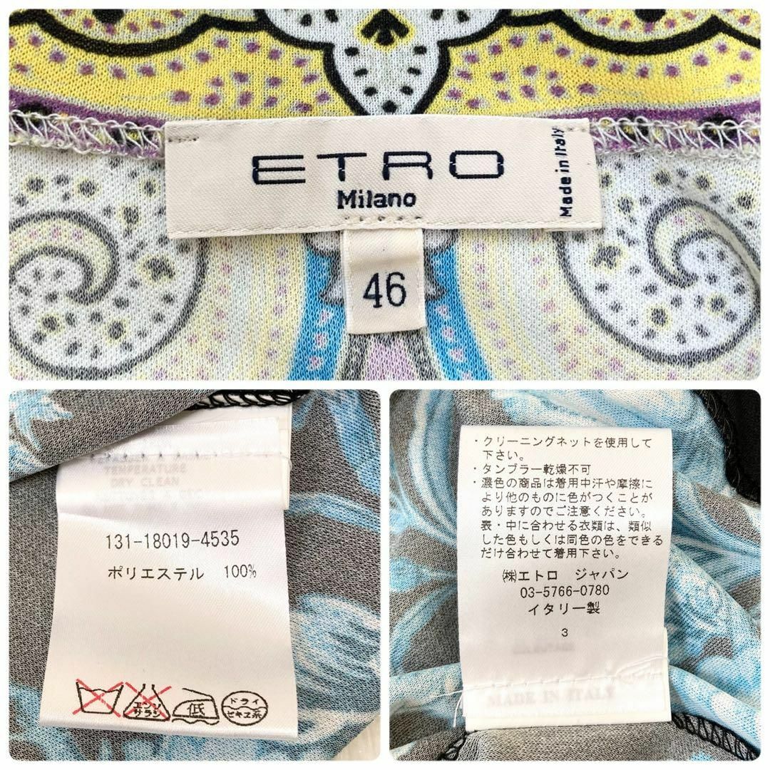 ETRO(エトロ)の美品♡ ETRO ワンピース　ペイズリー　花柄　七分丈　総柄　大きいサイズ　46 レディースのワンピース(ロングワンピース/マキシワンピース)の商品写真