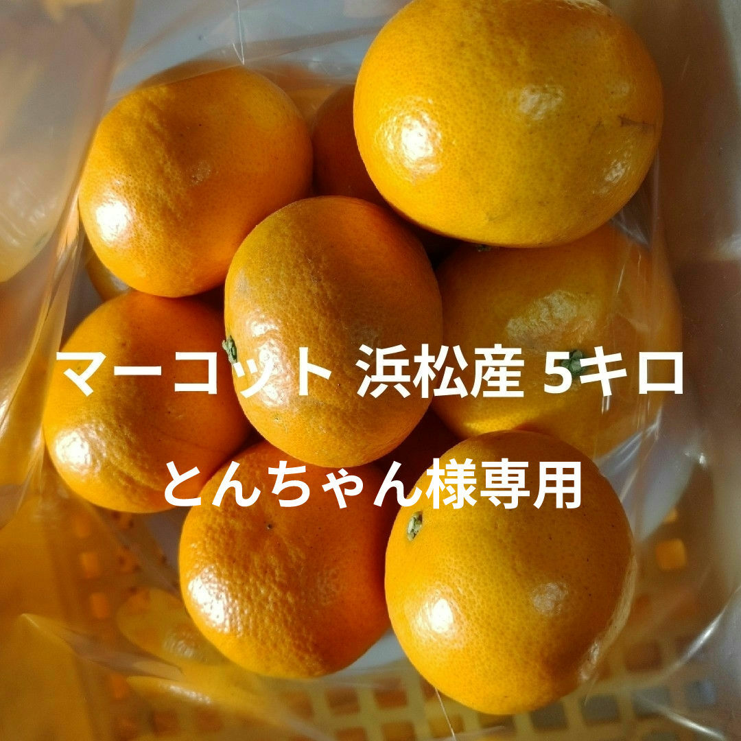 マーコット 浜松産 ５キロ とんちゃん様専用 食品/飲料/酒の食品(フルーツ)の商品写真