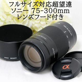 ソニー(SONY)の★フルサイズ対応★SONY ソニー 75-300mm 4.5-5.6 望遠ズーム(レンズ(ズーム))