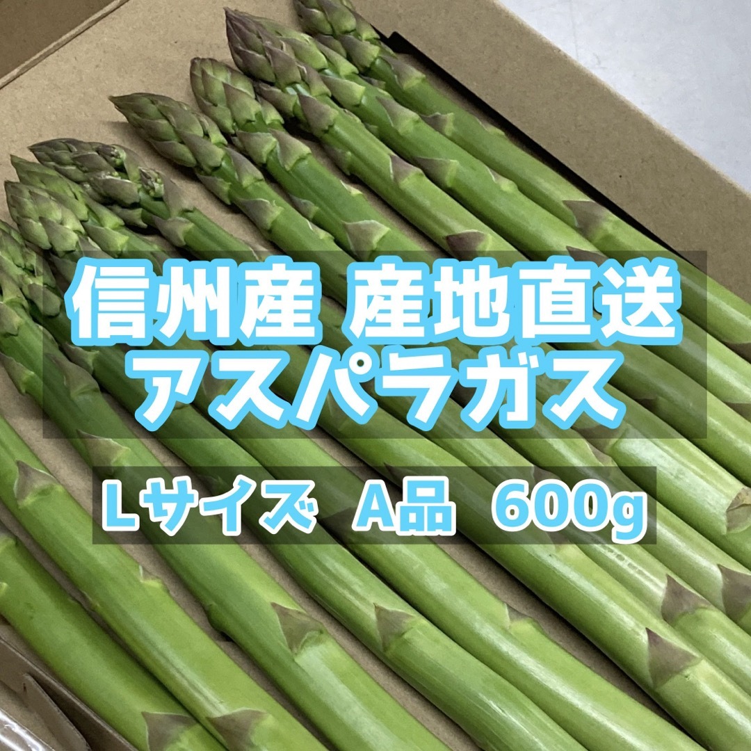 信州産　アスパラガス　Lサイズ　600g 食品/飲料/酒の食品(野菜)の商品写真