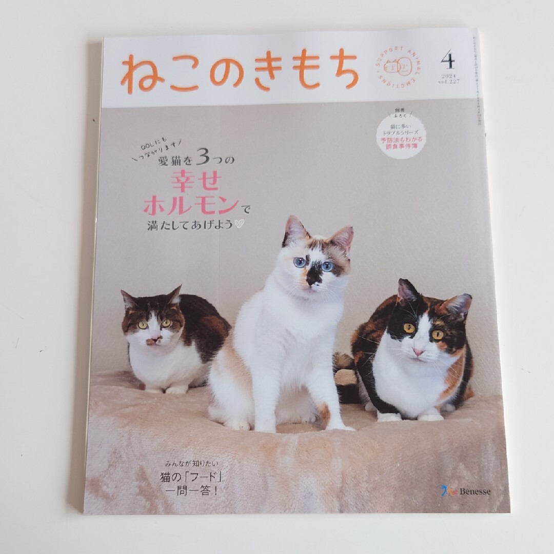 Benesse(ベネッセ)のねこのきもち　2024.4•5•6月号　付録付 エンタメ/ホビーの本(その他)の商品写真