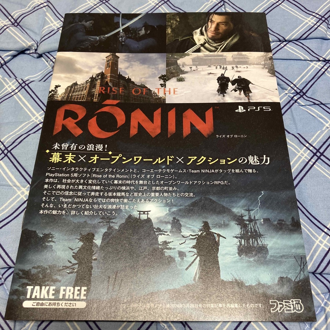 RONIN ローニン ゲーム　非売品　カタログ エンタメ/ホビーのコレクション(印刷物)の商品写真