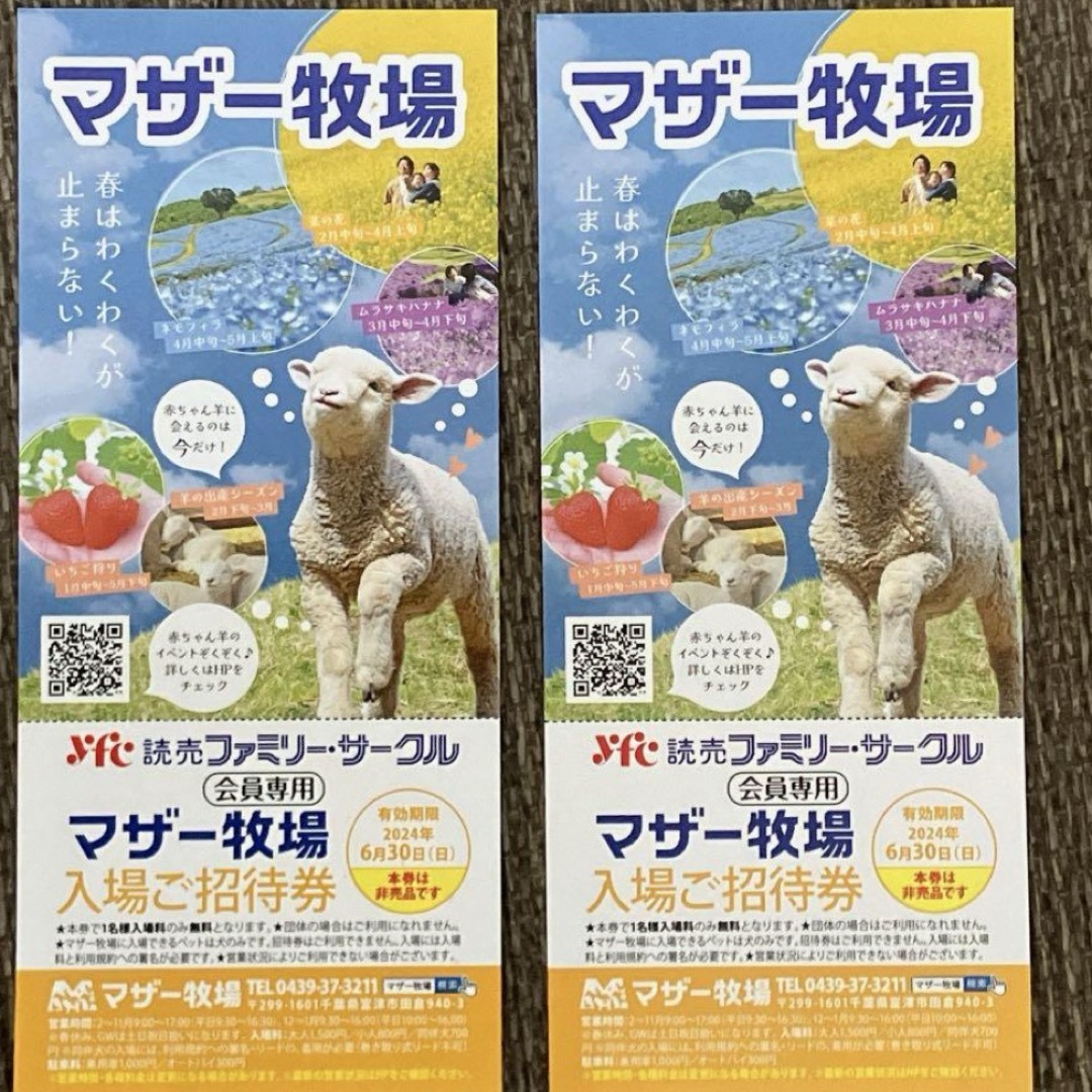 マザー牧場入場チケット2枚 チケットの施設利用券(動物園)の商品写真