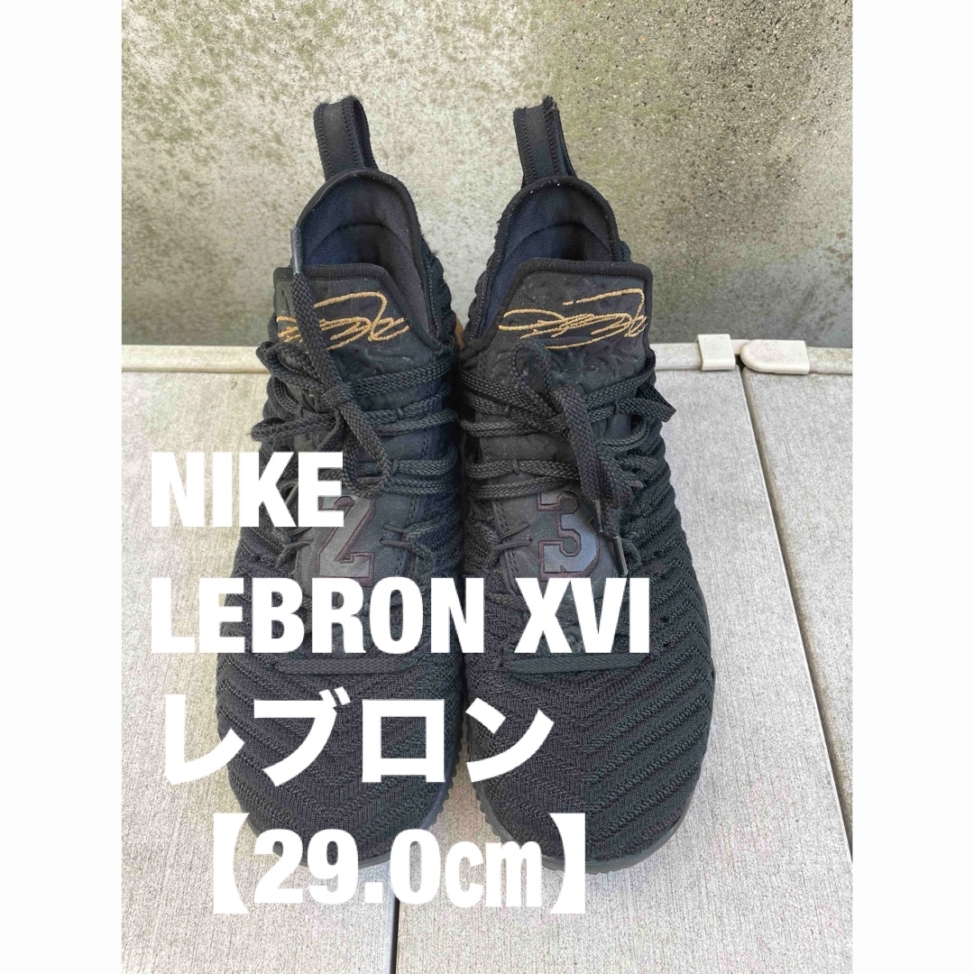 NIKE(ナイキ)のNIKE LEBRON XVIレブロン【29.0㎝】 メンズの靴/シューズ(スニーカー)の商品写真