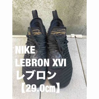 ナイキ(NIKE)のNIKE LEBRON XVIレブロン【29.0㎝】(スニーカー)