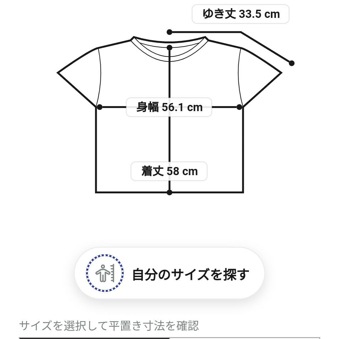 23区(ニジュウサンク)の23区 大きいサイズ フレンチスリーブ IT TEE レディースのトップス(Tシャツ(半袖/袖なし))の商品写真