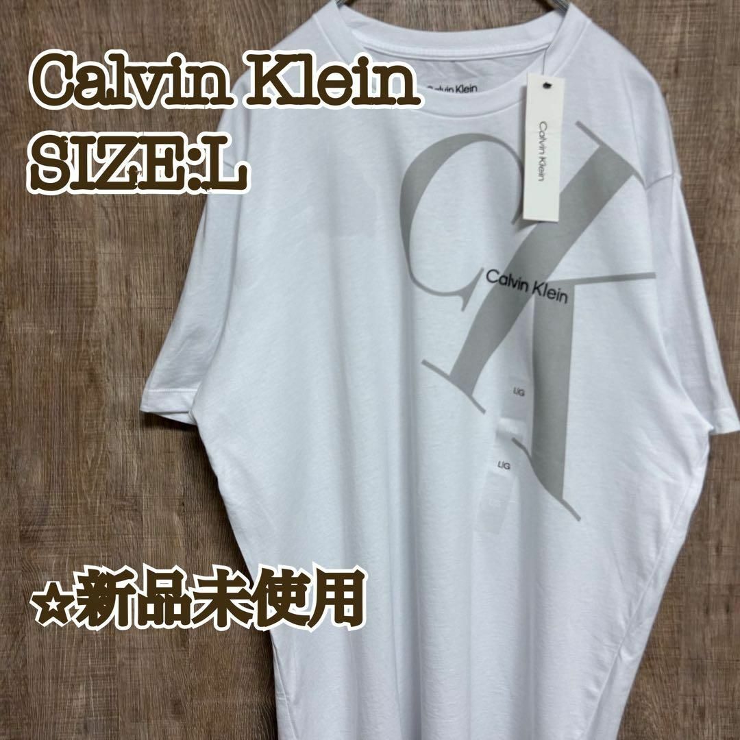 Calvin Klein(カルバンクライン)の【新品】Calvin Klein カルバンクライン　Tシャツ　ビッグロゴ　L メンズのトップス(Tシャツ/カットソー(半袖/袖なし))の商品写真