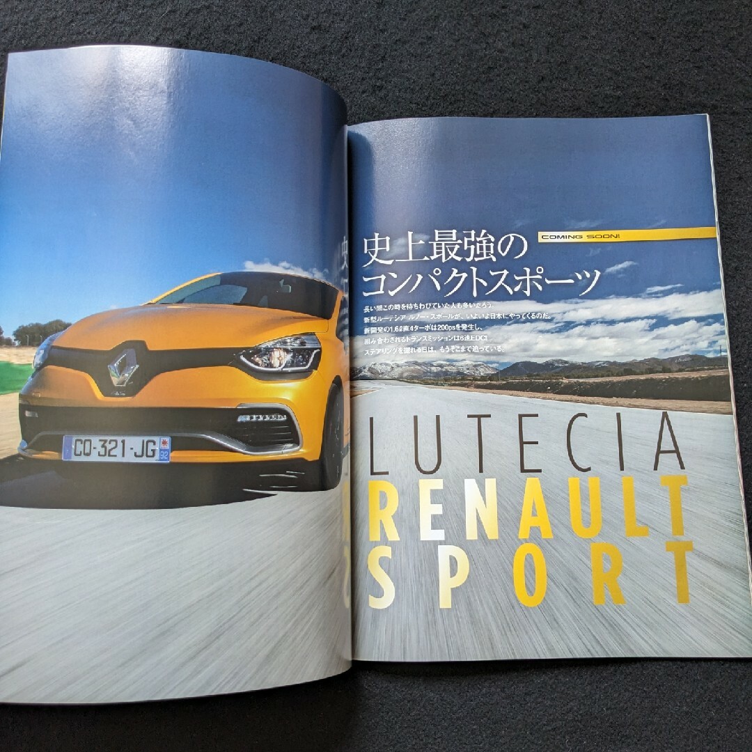 ルノー　ルーテシアのすべて　歴史　オプションパーツ　カタログ　ゼン　スポール エンタメ/ホビーの雑誌(車/バイク)の商品写真