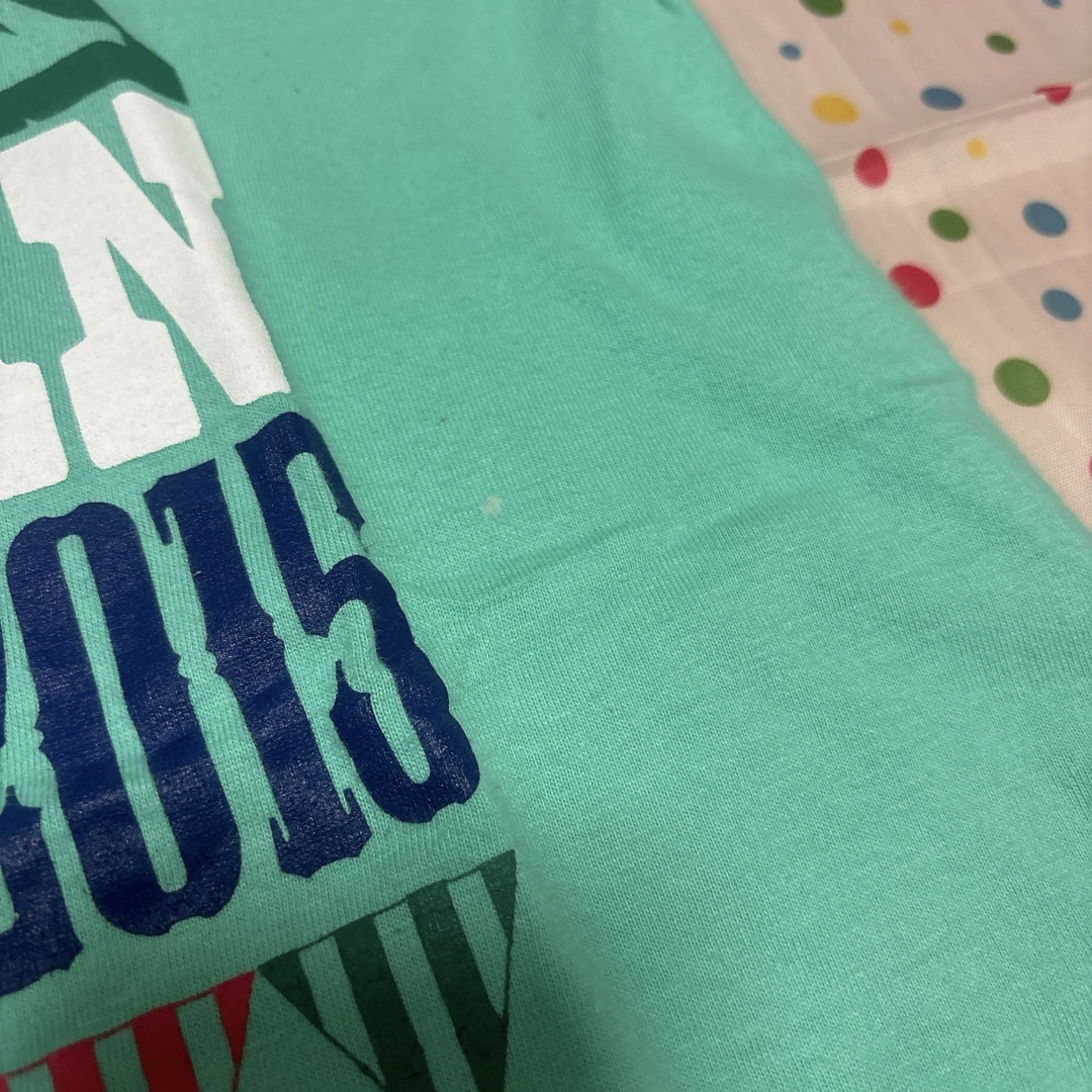 ROCK IN JAPAN ロッキン Tシャツ 2015 メンズのトップス(Tシャツ/カットソー(半袖/袖なし))の商品写真