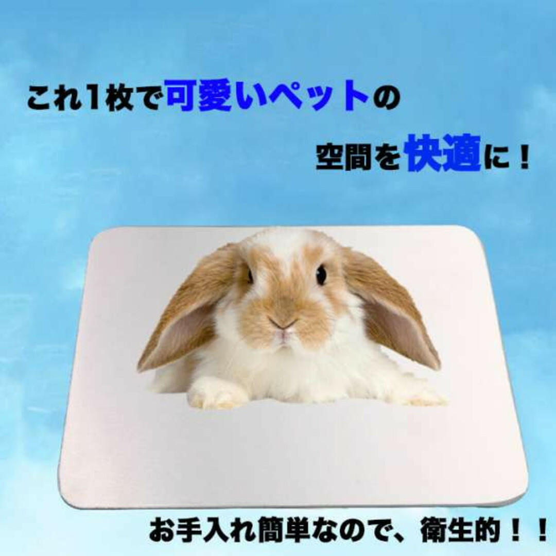 冷感アルミプレート 10×6cm クール 小動物 熱中症対策 ハムスター ペット その他のペット用品(小動物)の商品写真