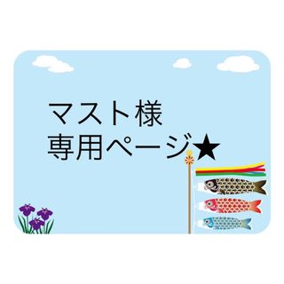 マスト様専用ページ★(ステッカー)