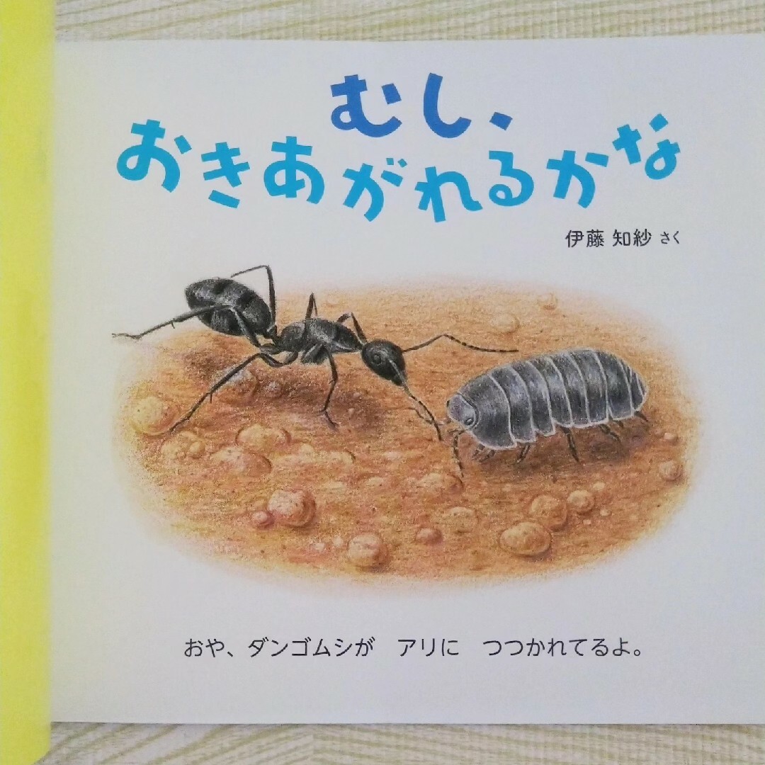 福音館書店(フクインカンショテン)のむし おきあがれるかな 福音館書店 絵本 昆虫採取 飼育 情操教育 読み聞かせ エンタメ/ホビーの本(絵本/児童書)の商品写真