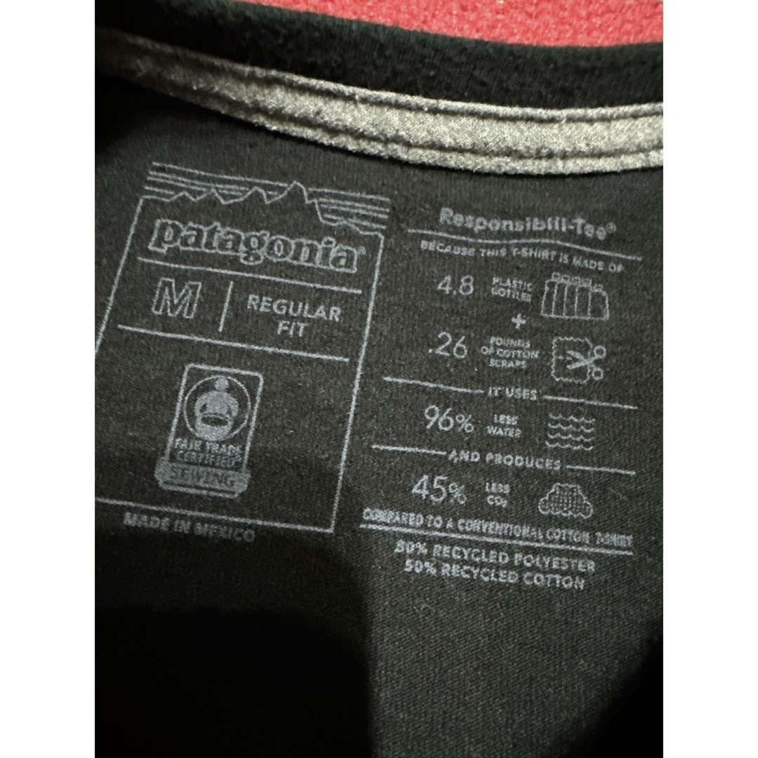 patagonia(パタゴニア)のパタゴニア ロンT メンズのトップス(Tシャツ/カットソー(半袖/袖なし))の商品写真