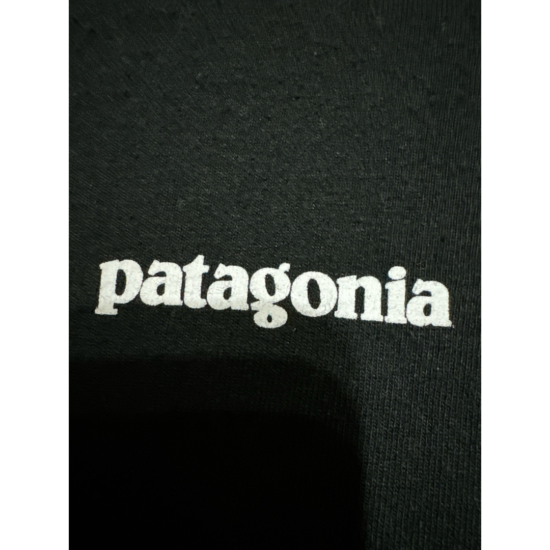 patagonia(パタゴニア)のパタゴニア ロンT メンズのトップス(Tシャツ/カットソー(半袖/袖なし))の商品写真