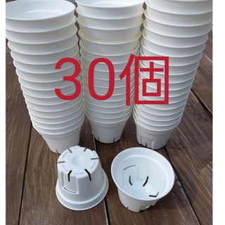 6cm スリット鉢　白　プラ鉢　30個(その他)