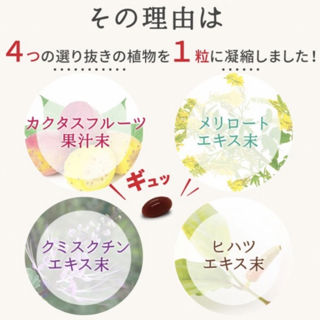 スラキュット サプリメント 約3ヵ月分×2袋 メリロートエキス 水分ケア  コスメ/美容のダイエット(ダイエット食品)の商品写真