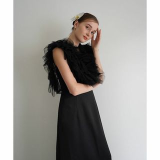 サイズ2　acka tulle vest satin one-piece(ロングワンピース/マキシワンピース)