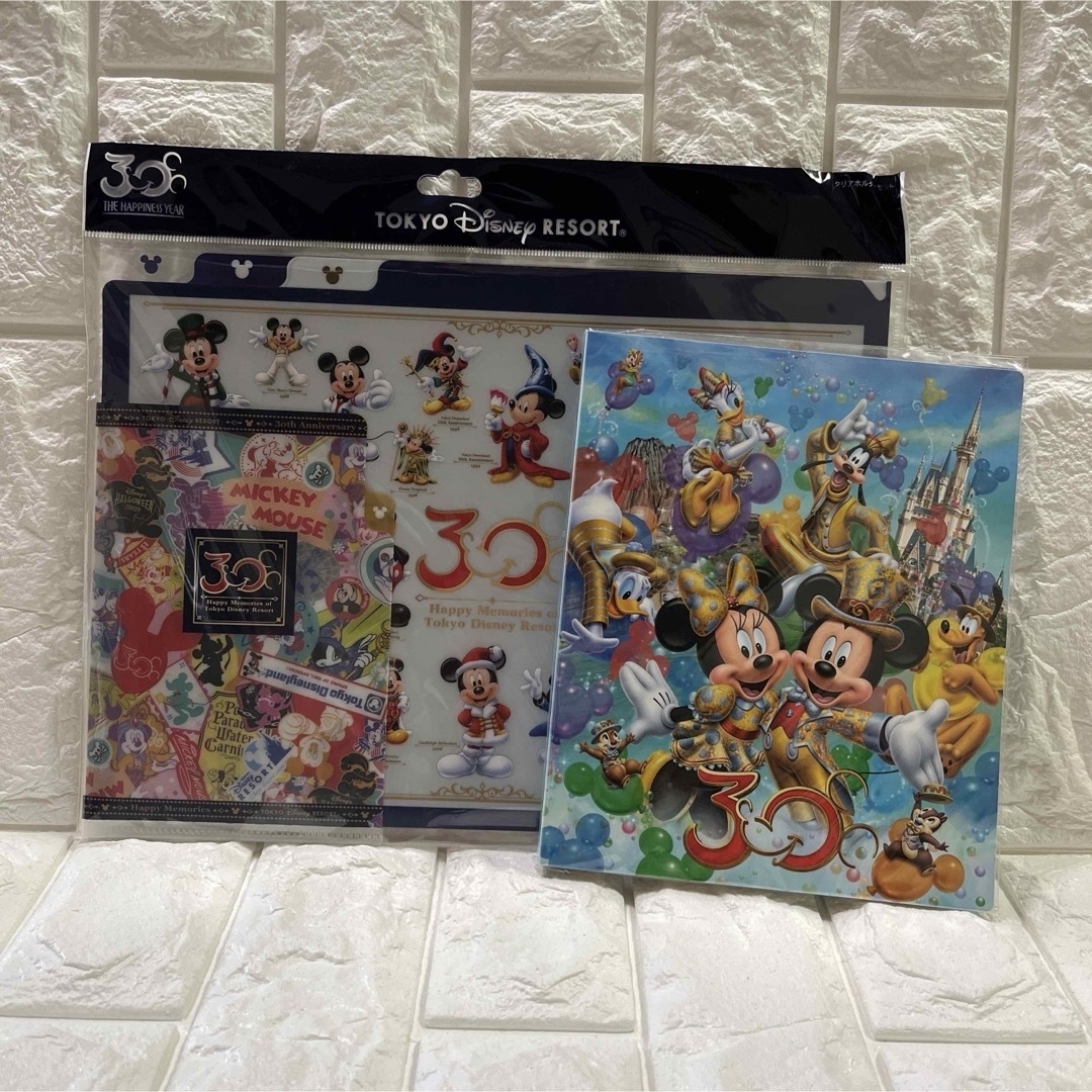 Disney(ディズニー)の【新品】TDR 30周年　フォトアルバム　クリアファイル　ディズニー エンタメ/ホビーのアニメグッズ(クリアファイル)の商品写真