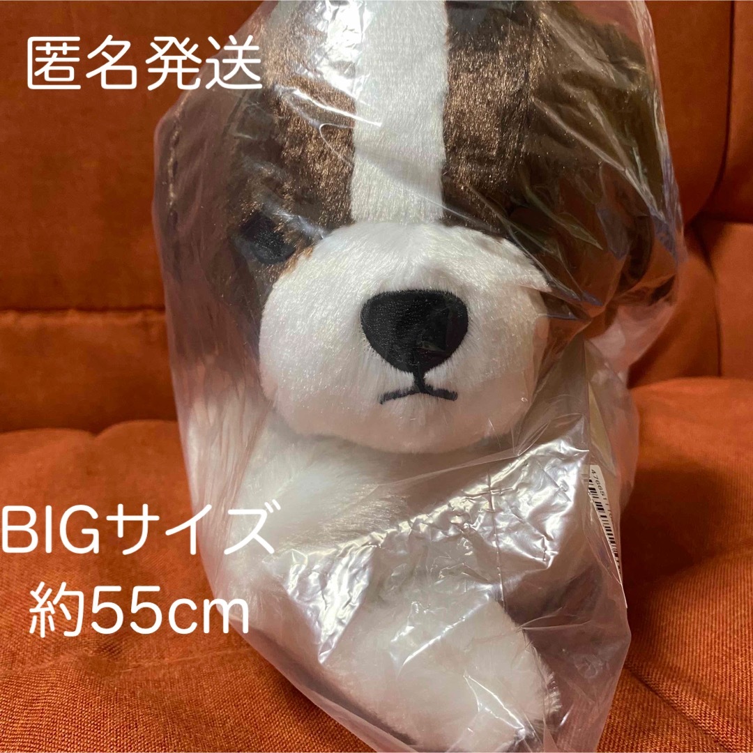 コーイケルホンディエ　BIGぬいぐるみ　ダークブラウン　犬　わんこ エンタメ/ホビーのおもちゃ/ぬいぐるみ(ぬいぐるみ)の商品写真