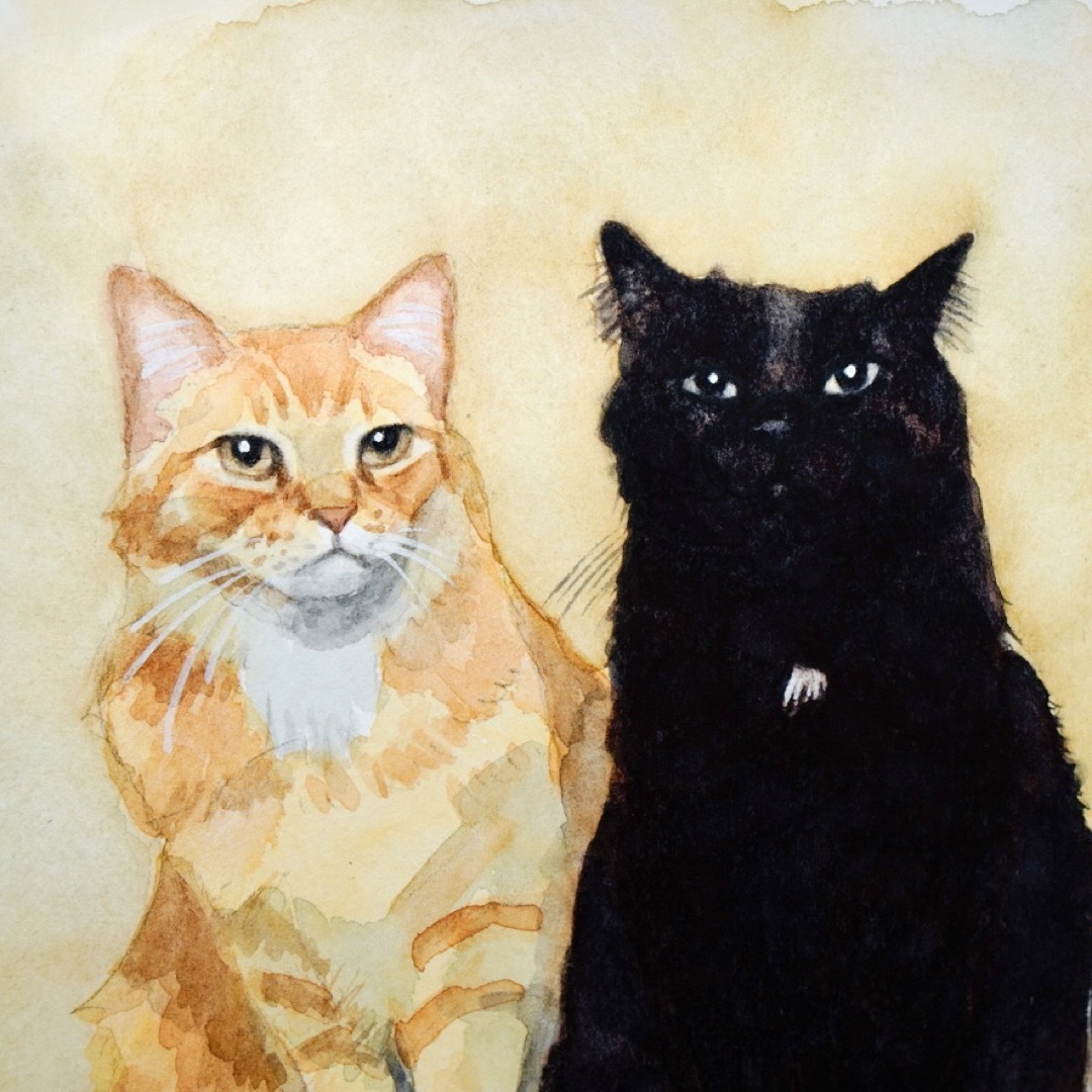 猫の絵 162 水彩画 原画 A4 エンタメ/ホビーの美術品/アンティーク(絵画/タペストリー)の商品写真
