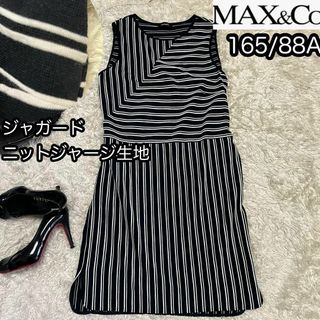 マックスアンドコー(Max & Co.)の【マックスアンドコー マックスマーラ】ストレッチニットジャージワンピース 白黒(ひざ丈ワンピース)