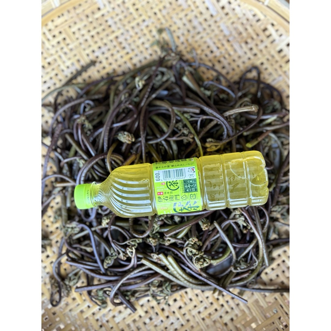 乾燥わらび　500グラム　　　　　　　　　　　　　　　　　　　鹿児島県産 食品/飲料/酒の食品(野菜)の商品写真