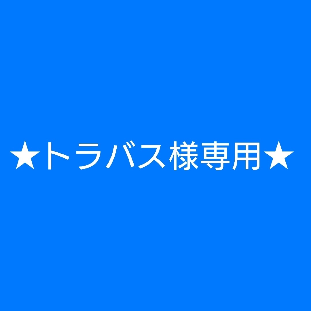 ステッカー★トラバス様専用★ エンタメ/ホビーのタレントグッズ(ミュージシャン)の商品写真