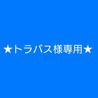 ステッカー★トラバス様専用★(ミュージシャン)