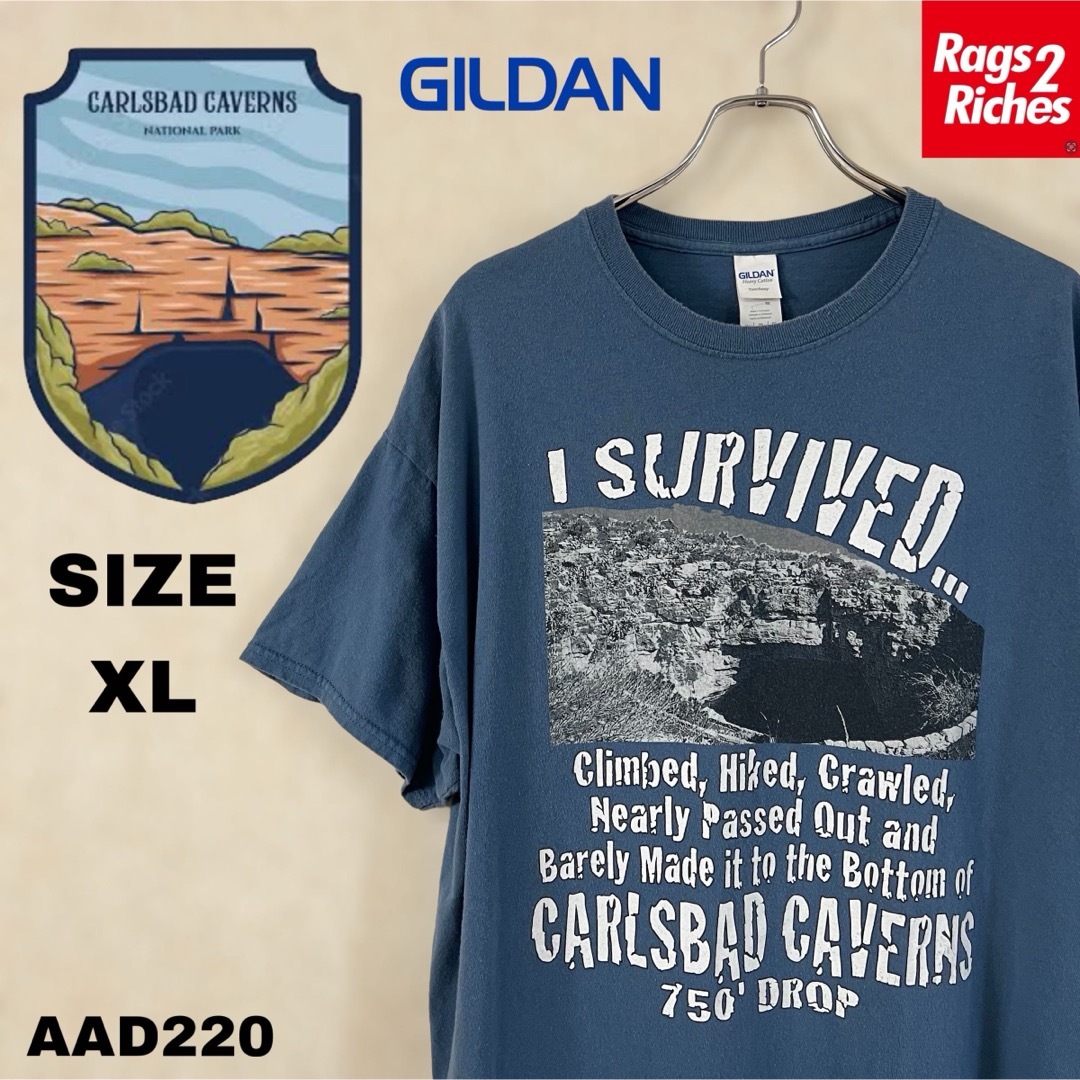 GILDAN(ギルタン)のCARLSBAD CAVERNS カールズバッド洞窟群国立公園 プリントTシャツ メンズのトップス(Tシャツ/カットソー(半袖/袖なし))の商品写真
