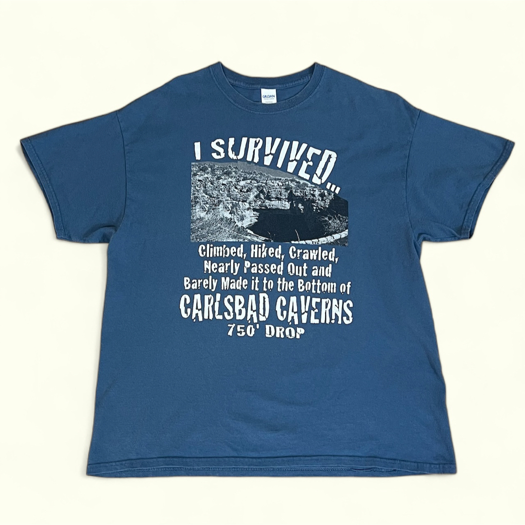 GILDAN(ギルタン)のCARLSBAD CAVERNS カールズバッド洞窟群国立公園 プリントTシャツ メンズのトップス(Tシャツ/カットソー(半袖/袖なし))の商品写真