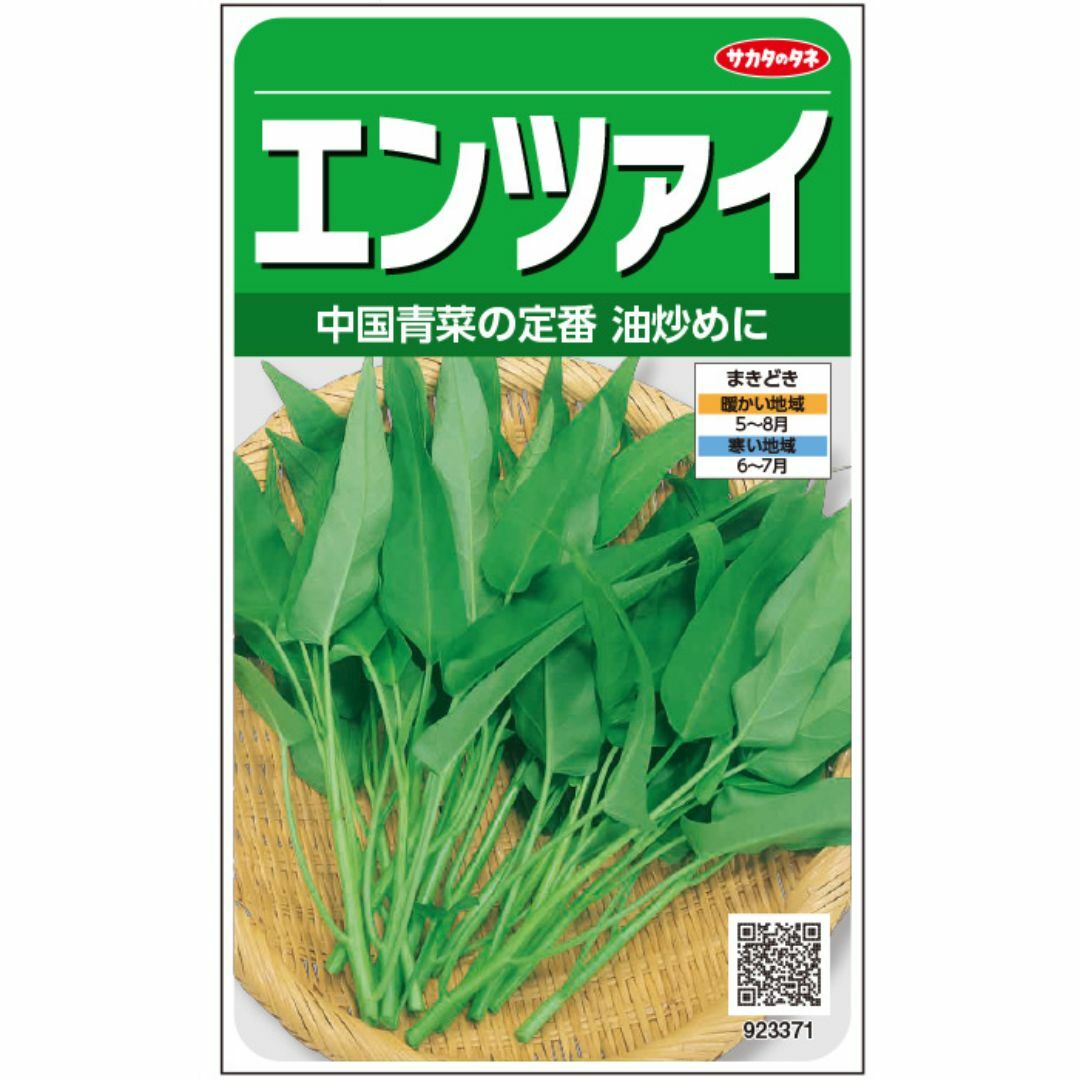 未開封＜野菜の種＞約140粒　エンツァイ　中国野菜　空芯菜　エンサイ ハンドメイドのフラワー/ガーデン(プランター)の商品写真