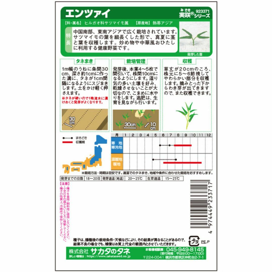 未開封＜野菜の種＞約140粒　エンツァイ　中国野菜　空芯菜　エンサイ ハンドメイドのフラワー/ガーデン(プランター)の商品写真