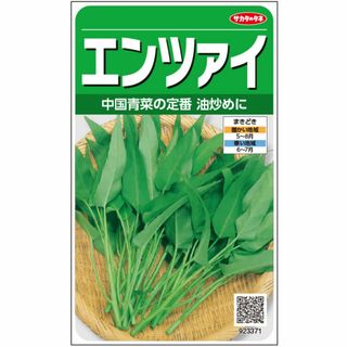 未開封＜野菜の種＞約140粒　エンツァイ　中国野菜　空芯菜　エンサイ(プランター)