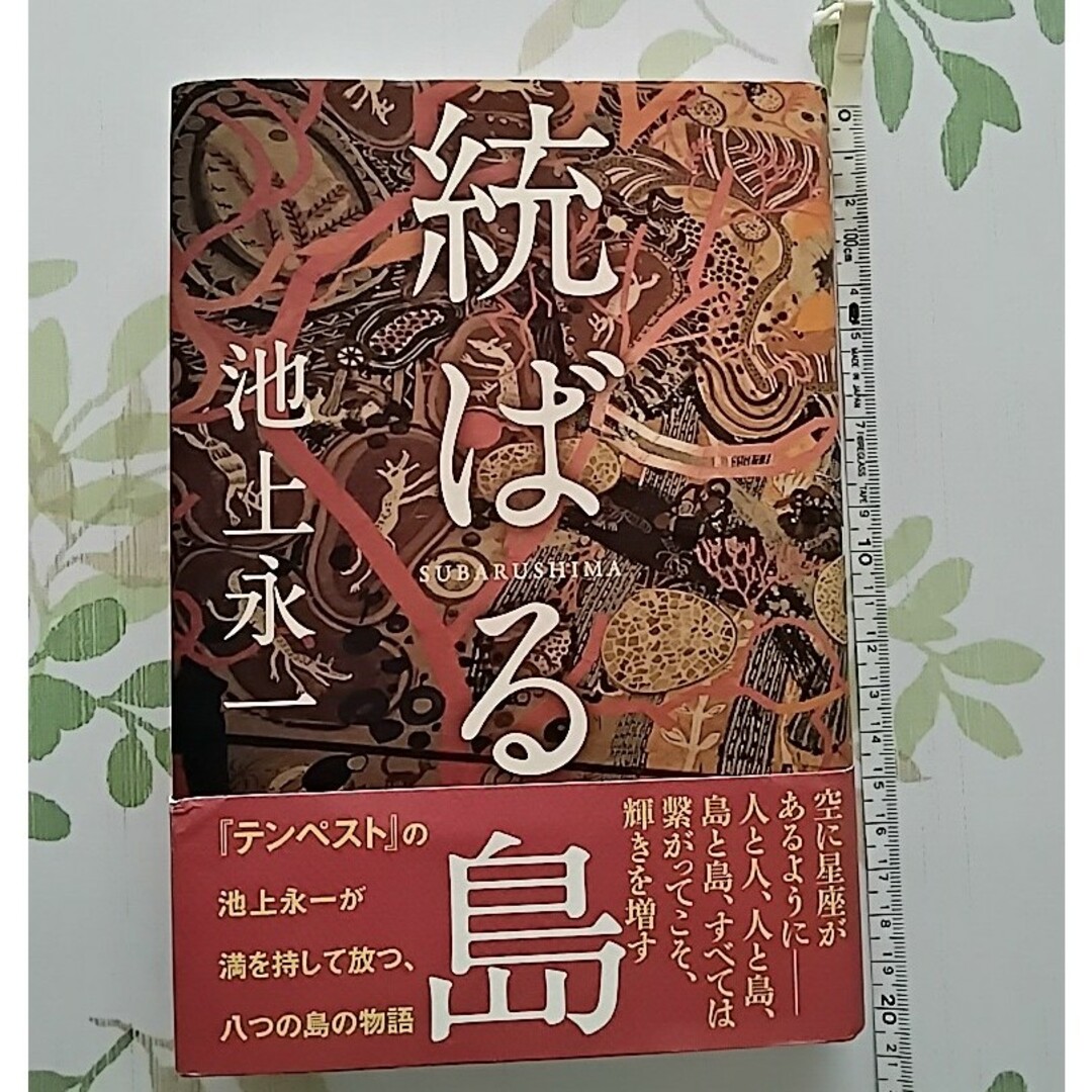 【統ばる島】　池上永一 エンタメ/ホビーの本(文学/小説)の商品写真